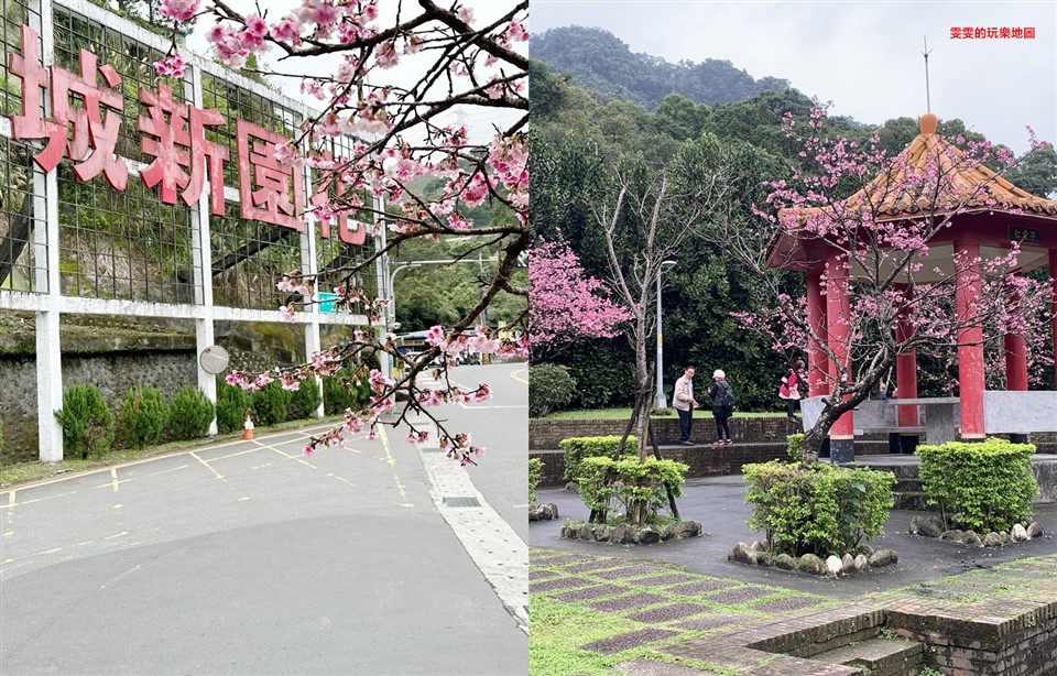 新北新店。花園新城、屈尺公園，新店往烏來路上的一抹粉嫩，盛開的山櫻花絕美極了 @雯雯的玩樂地圖