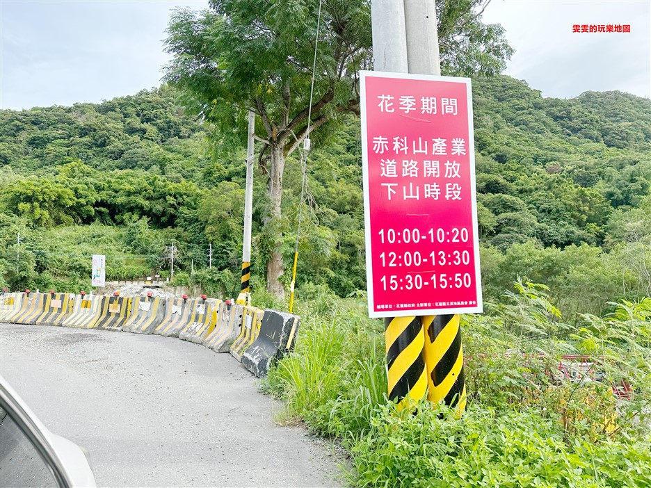 花蓮。赤柯山金針花季,季限定金針花美景來啦~滿山滿谷黃色花海讓人超級震撼 @雯雯的玩樂地圖