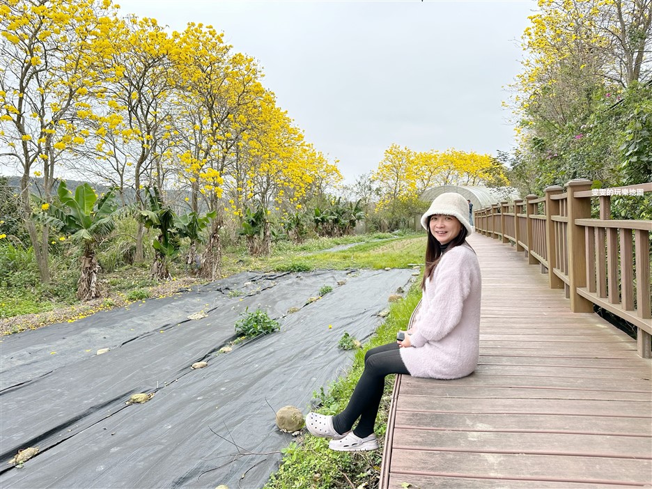 新竹新埔一日遊、美食景點推薦～誰說來新埔只能吃粄條，你還可以不繞路這樣玩～ @雯雯的玩樂地圖