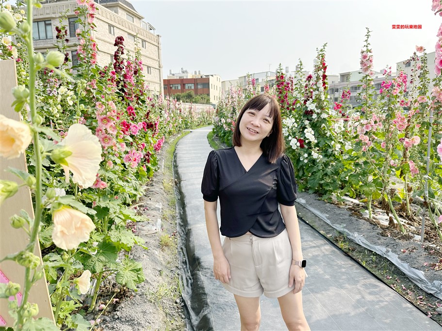 台中大甲。岷山蜀葵花海，小而美的秘境，完全免費參觀 @雯雯的玩樂地圖