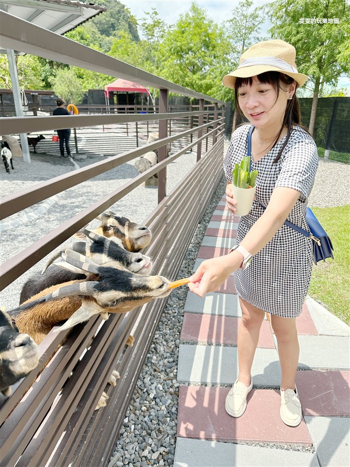 宜蘭三星。鹿爺爺,環境乾淨沒異味,可以近距離的餵食接觸互動 @雯雯的玩樂地圖