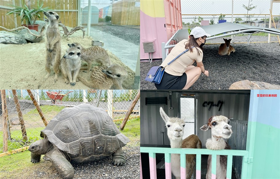 宜蘭冬山。天使星夢渡假村,住宿、拍美照、下午茶和小動物互動一次滿足 @雯雯的玩樂地圖