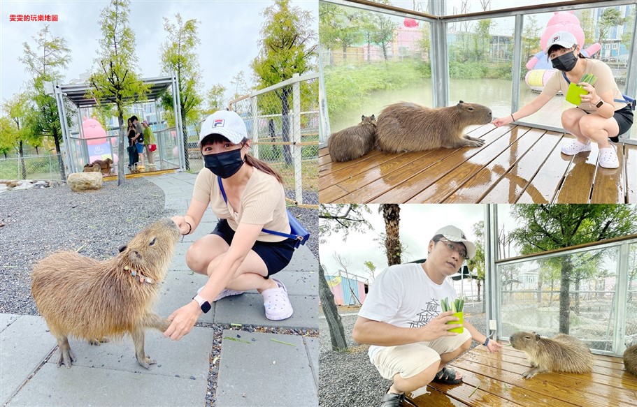 宜蘭冬山。天使星夢渡假村,住宿、拍美照、下午茶和小動物互動一次滿足 @雯雯的玩樂地圖