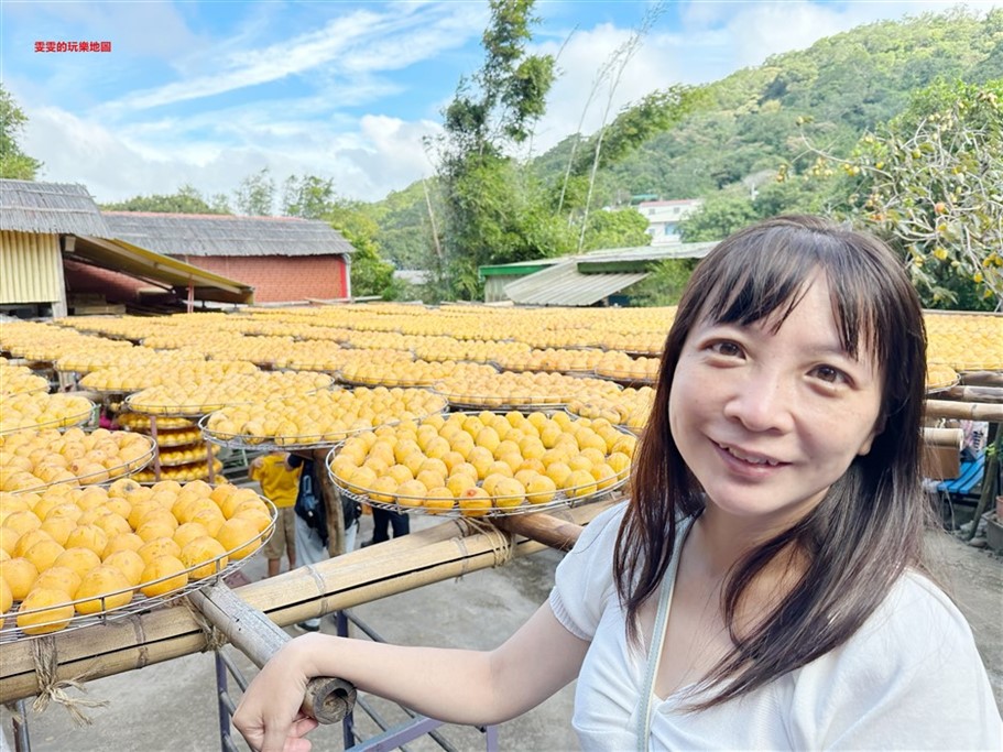 新竹新埔。味衛佳柿餅觀光工廠,一字排開黃澄澄柿子非常壯觀,還有各式相關柿子的產品可以購買 @雯雯的玩樂地圖