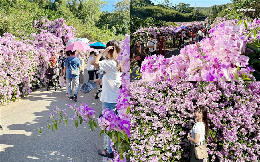 [桃園大園]1031004航空熊展演館~全球最大泰迪熊就在這,等你來找它喔 @雯雯的玩樂地圖