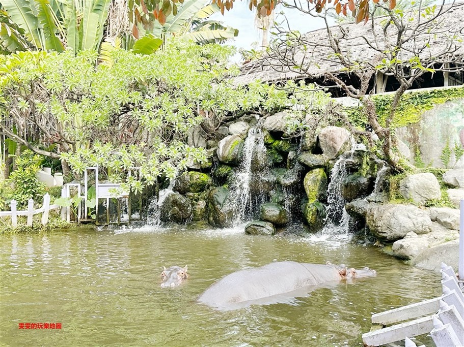 高雄小港。淨園農場,老少咸宜好去處,不僅可以近距離看飛機起降，還能與小動物們互動 @雯雯的玩樂地圖