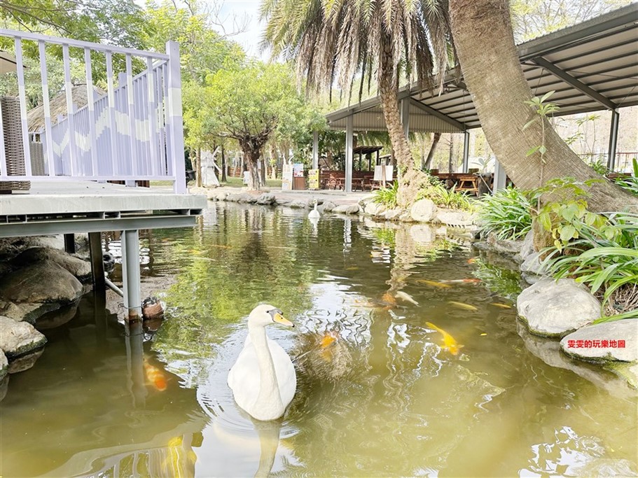 高雄小港。淨園農場,老少咸宜好去處,不僅可以近距離看飛機起降，還能與小動物們互動 @雯雯的玩樂地圖