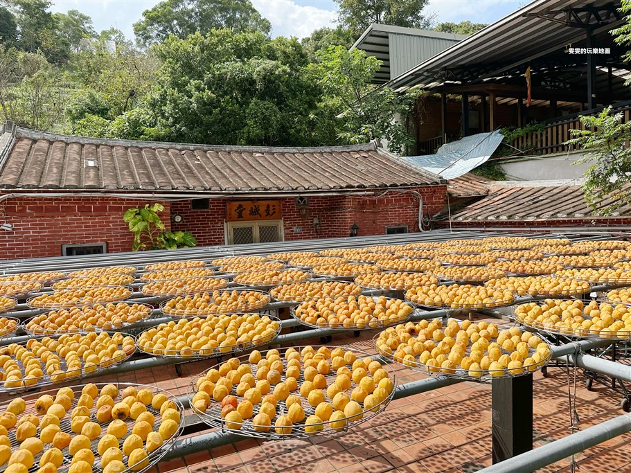 新竹新埔。金漢柿餅教育農園,柿子豐收的季節，一字排開的黃澄澄景色，吸引不少攝影愛好者來拍一波 @雯雯的玩樂地圖