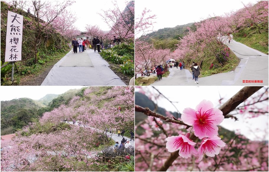 桃園龍潭。丑貳咖啡,寵物友善餐廳，大草皮、溜滑梯、沙坑，好適合帶小人來放風(永久歇業) @雯雯的玩樂地圖