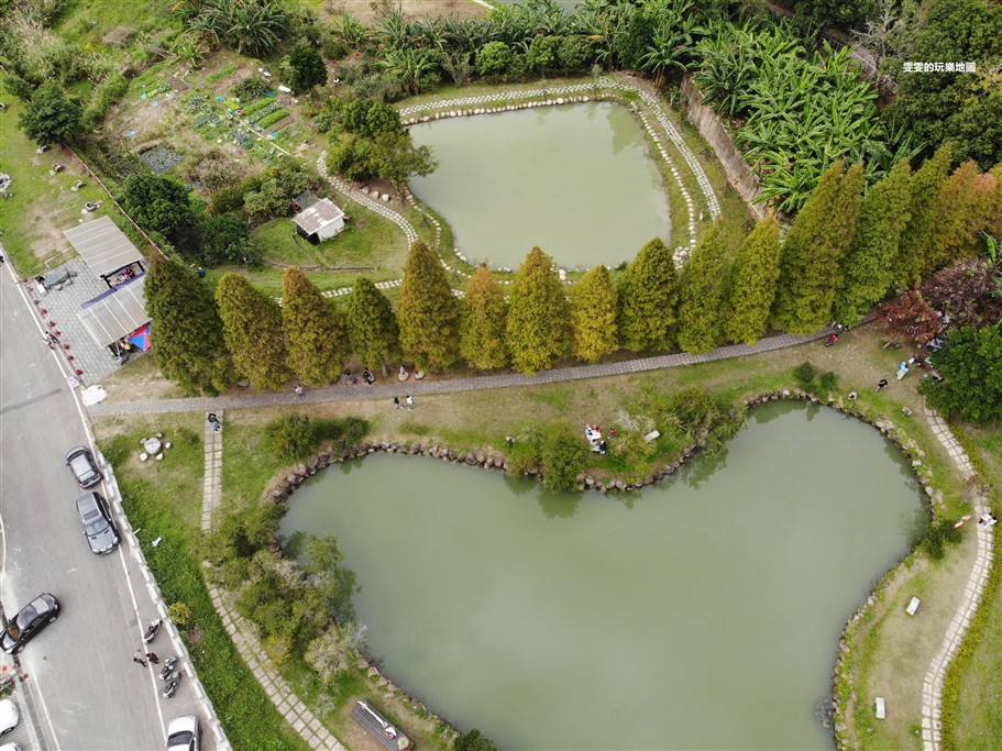 新竹北埔。北埔六塘石柿餅、落羽松,有著夢幻落羽松愛心池塘結合石柿餅的隱藏版落羽松秘境 @雯雯的玩樂地圖