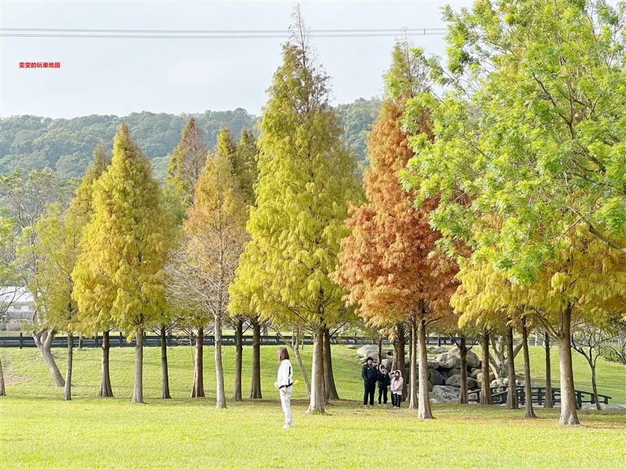 桃園大溪。大溪河濱公園,適合全家大小同遊的無料景點 @雯雯的玩樂地圖