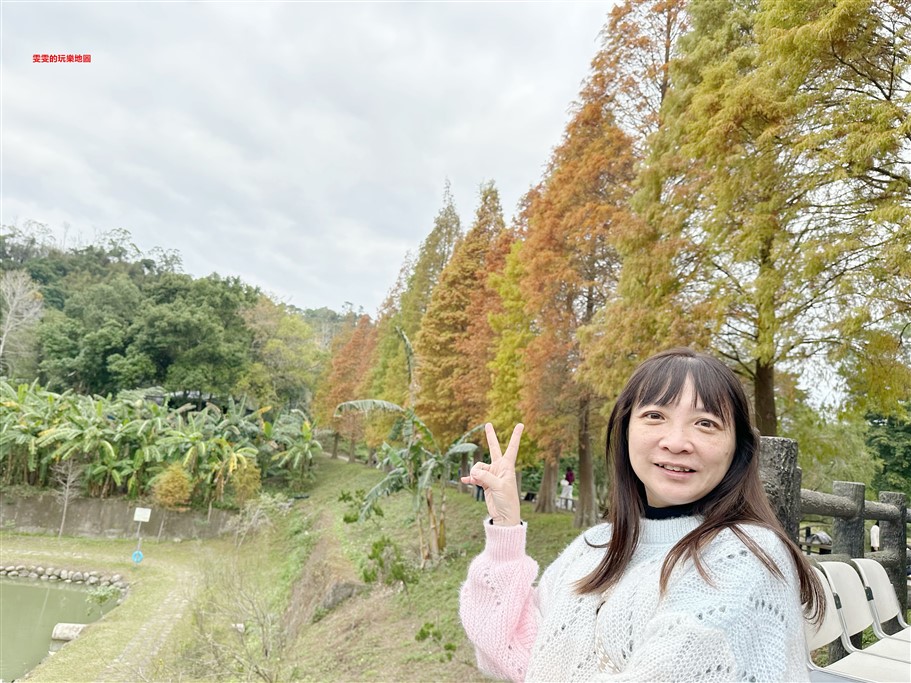 新竹北埔。北埔六塘石柿餅、落羽松,有著夢幻落羽松愛心池塘結合石柿餅的隱藏版落羽松秘境 @雯雯的玩樂地圖