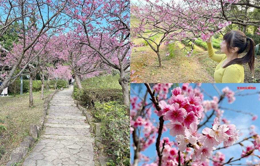 桃園大溪。番社古早雞、家常菜，一週僅營業二天,藏身在田野間的古早味餐廳 @雯雯的玩樂地圖