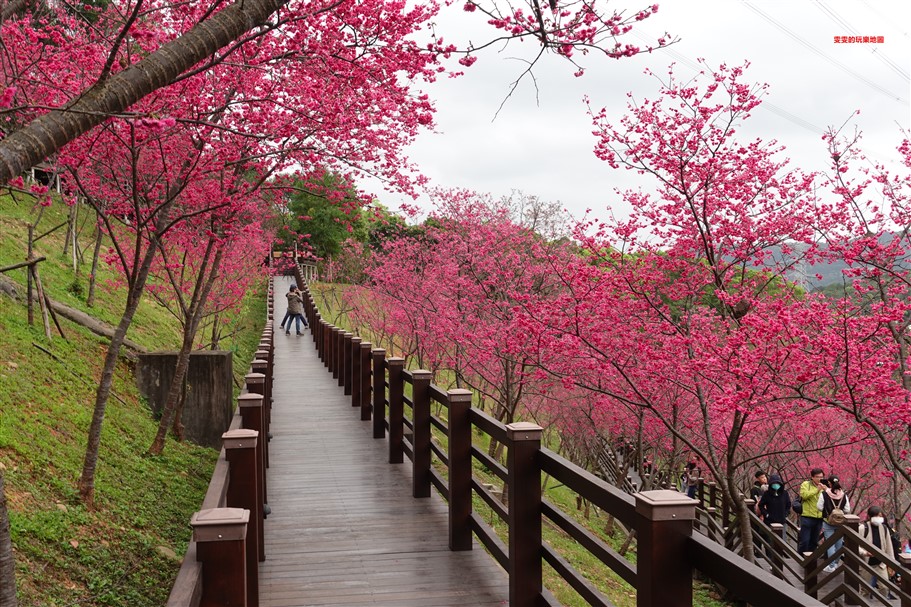 桃園中壢。勒芙131義大利麵、牛排、風味餐,鄰近青塘園,以健康為出發的義法料理 @雯雯的玩樂地圖