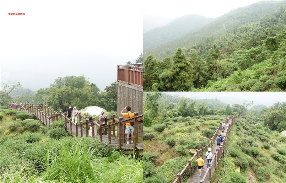 嘉義梅山。太興岩步道，全程穿梭在茶園和樹林間，輕鬆好走，肉腳級也能駕馭 @雯雯的玩樂地圖