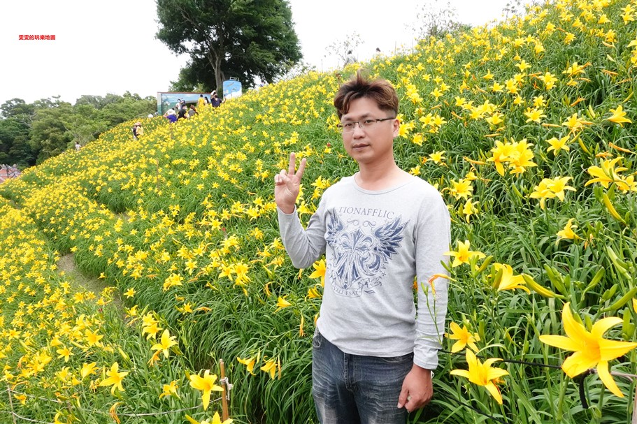 彰化花壇。虎山巖金針花，中部最壯觀的金針花毯 @雯雯的玩樂地圖