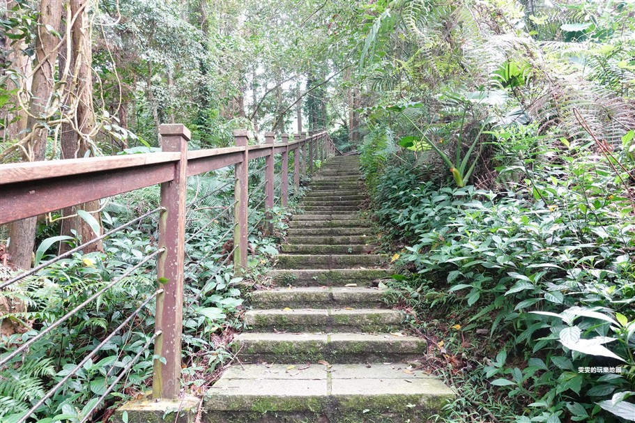 嘉義梅山。太興岩步道，全程穿梭在茶園和樹林間，輕鬆好走，肉腳級也能駕馭 @雯雯的玩樂地圖
