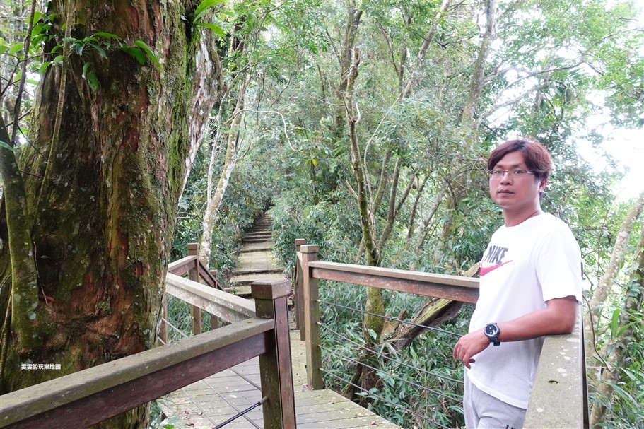 嘉義梅山。太興岩步道，全程穿梭在茶園和樹林間，輕鬆好走，肉腳級也能駕馭 @雯雯的玩樂地圖