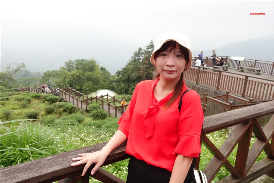 嘉義梅山。太興岩步道，全程穿梭在茶園和樹林間，輕鬆好走，肉腳級也能駕馭 @雯雯的玩樂地圖