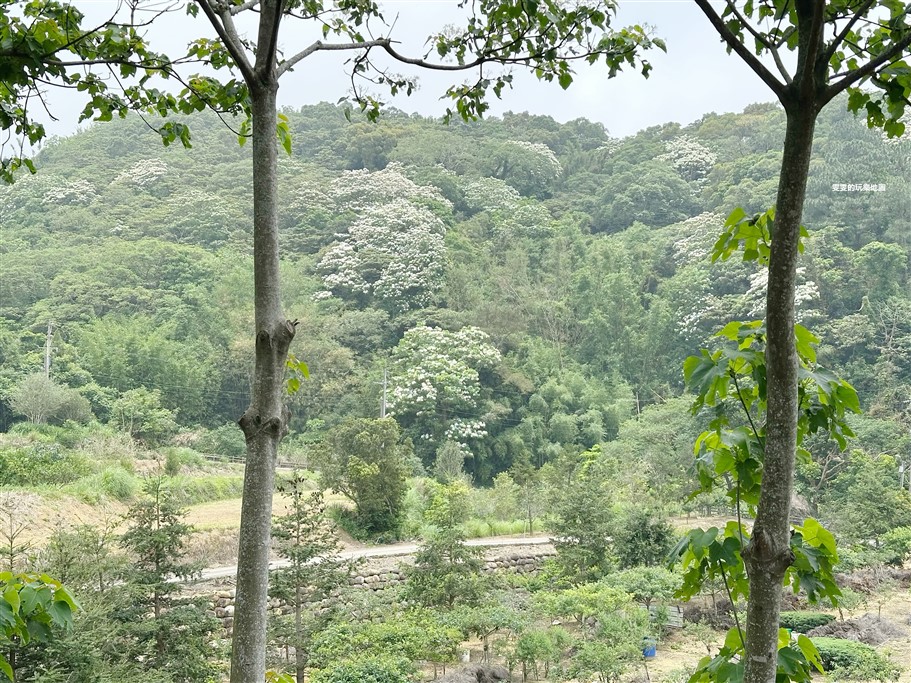 桃園龍潭。漫境Man Juan，乳姑山中的景觀餐廳，有著超多適合小朋友玩樂的設施 @雯雯的玩樂地圖