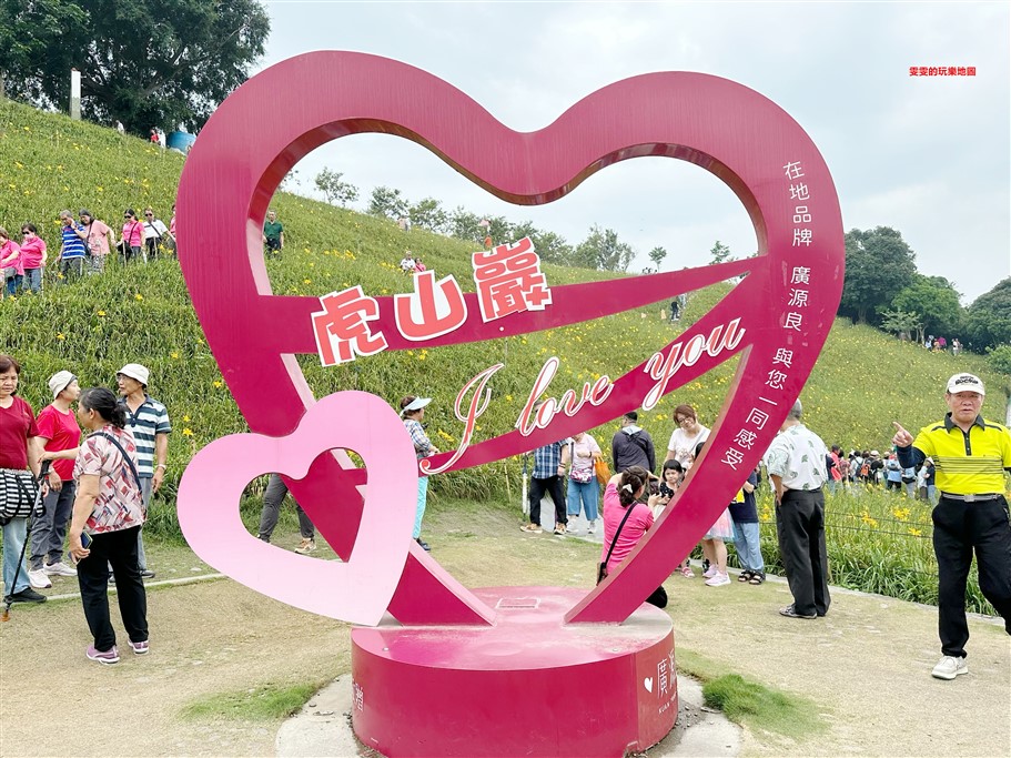 彰化花壇。虎山巖金針花，中部最壯觀的金針花毯 @雯雯的玩樂地圖