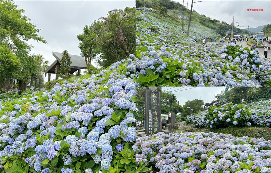 宜蘭坪林。石牌縣界公園，九彎十八拐北宜公路至高點，現在來正是繡球花最美的時候 @雯雯的玩樂地圖