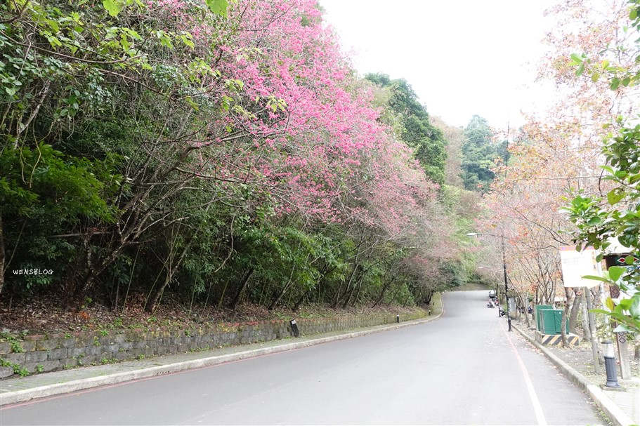 新竹五峰。清泉風景特定區，清泉部落遊，走吊橋、泡足湯、參觀張學良故居，還能順道品嚐道地原民美食 @雯雯的玩樂地圖