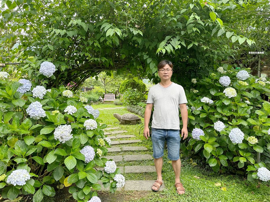苗栗南庄。杉林松境休閒農場(繡球花花季),爆炸滿開的繡球花,隨便拍隨便美,好適合拍個人寫真集啊 @雯雯的玩樂地圖