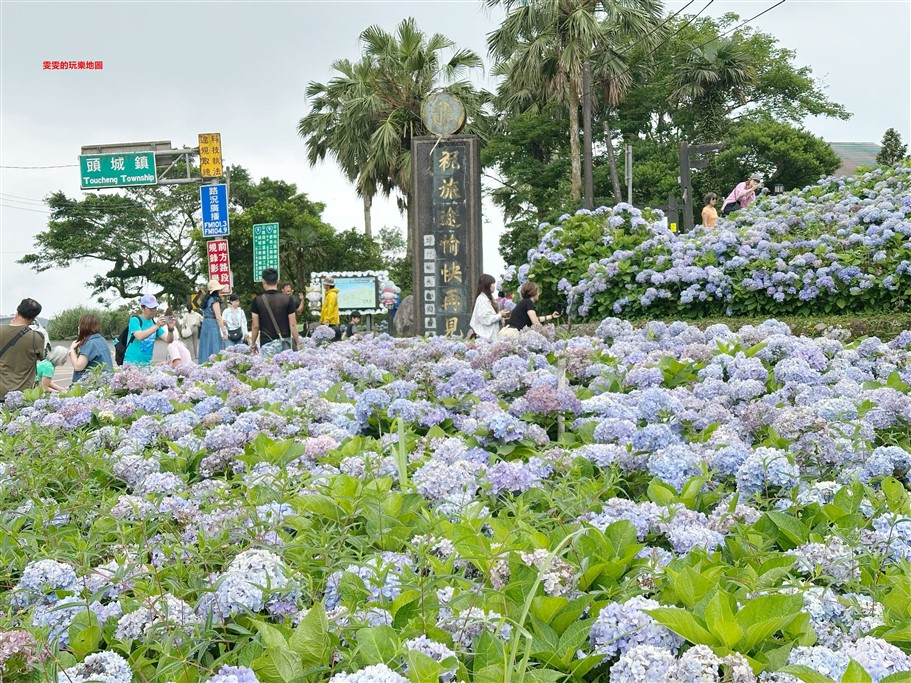 宜蘭坪林。石牌縣界公園，九彎十八拐北宜公路至高點，現在來正是繡球花最美的時候 @雯雯的玩樂地圖