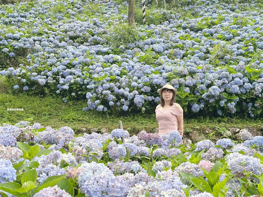 宜蘭坪林。石牌縣界公園，九彎十八拐北宜公路至高點，現在來正是繡球花最美的時候 @雯雯的玩樂地圖
