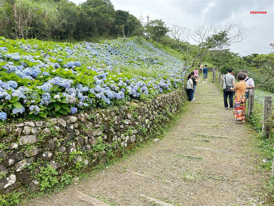 宜蘭坪林。石牌縣界公園，九彎十八拐北宜公路至高點，現在來正是繡球花最美的時候 @雯雯的玩樂地圖