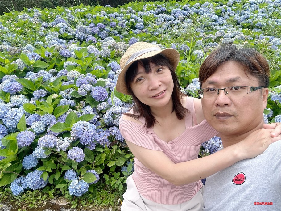 宜蘭坪林。石牌縣界公園，九彎十八拐北宜公路至高點，現在來正是繡球花最美的時候 @雯雯的玩樂地圖