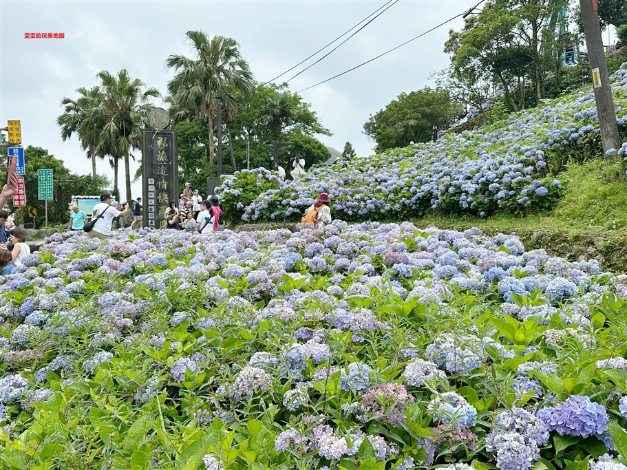 宜蘭坪林。石牌縣界公園，九彎十八拐北宜公路至高點，現在來正是繡球花最美的時候 @雯雯的玩樂地圖