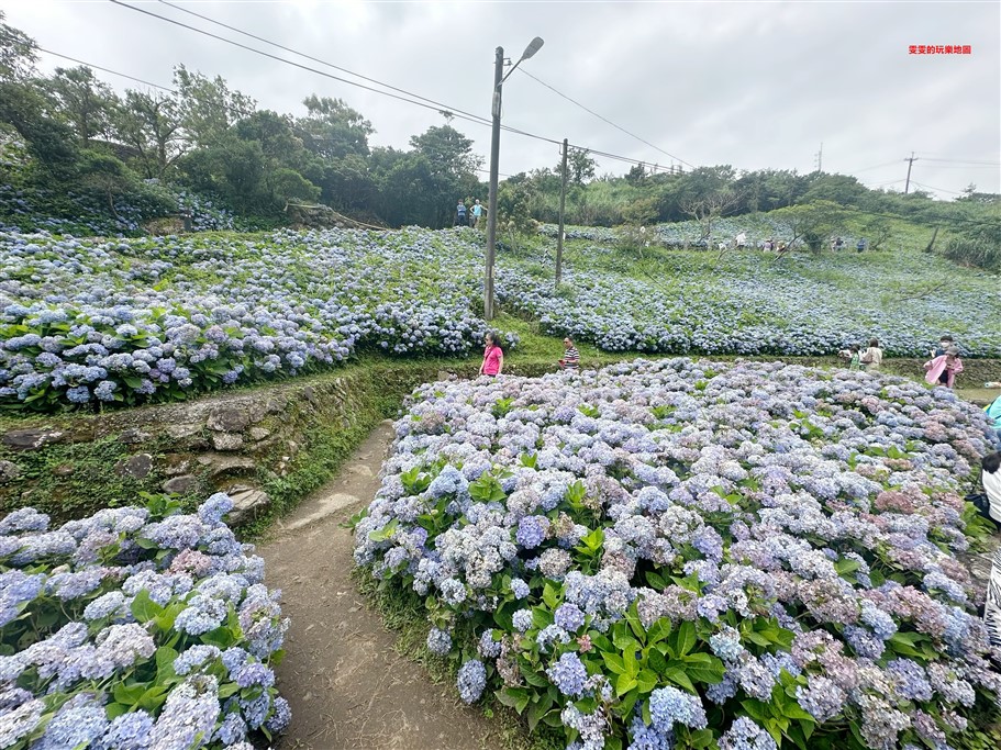 宜蘭坪林。石牌縣界公園，九彎十八拐北宜公路至高點，現在來正是繡球花最美的時候 @雯雯的玩樂地圖