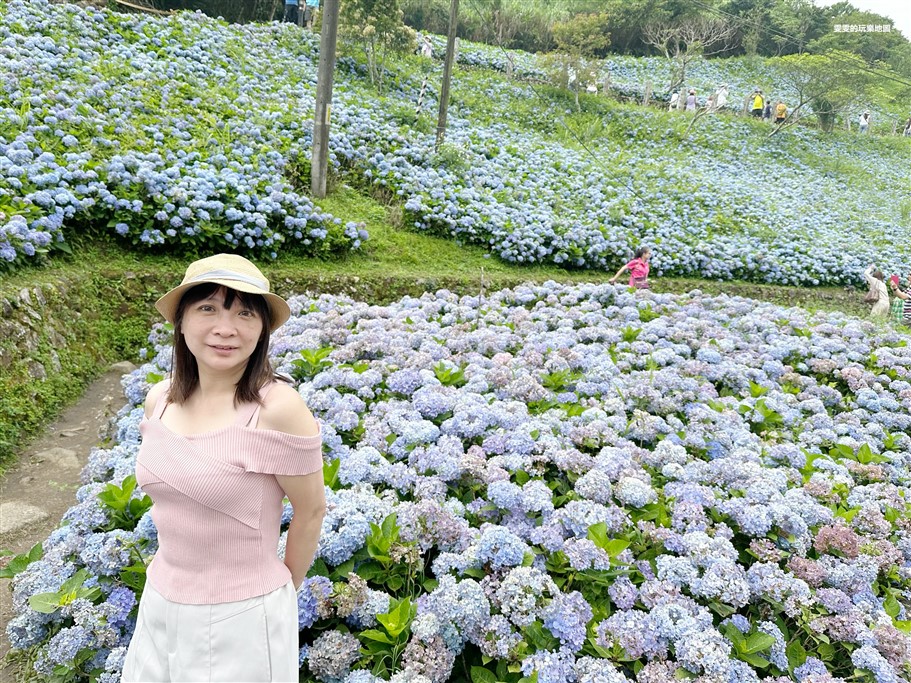 宜蘭坪林。石牌縣界公園，九彎十八拐北宜公路至高點，現在來正是繡球花最美的時候 @雯雯的玩樂地圖