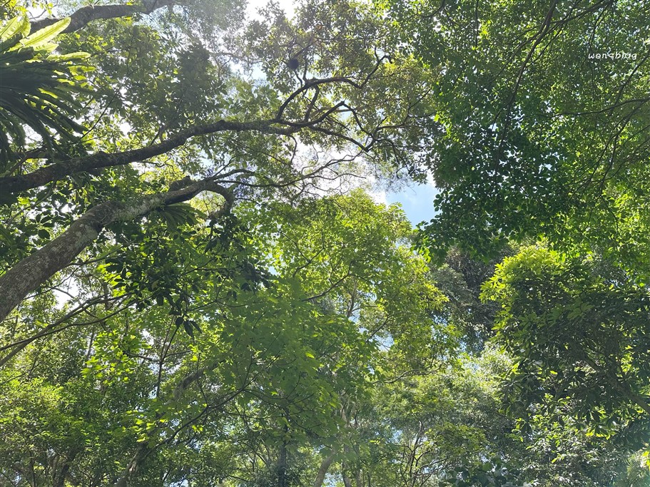 苗栗南庄。四十二份湧泉自然生態步道，有著南庄小秘境之稱，地點較為隱密、遊客數稀少 @雯雯的玩樂地圖