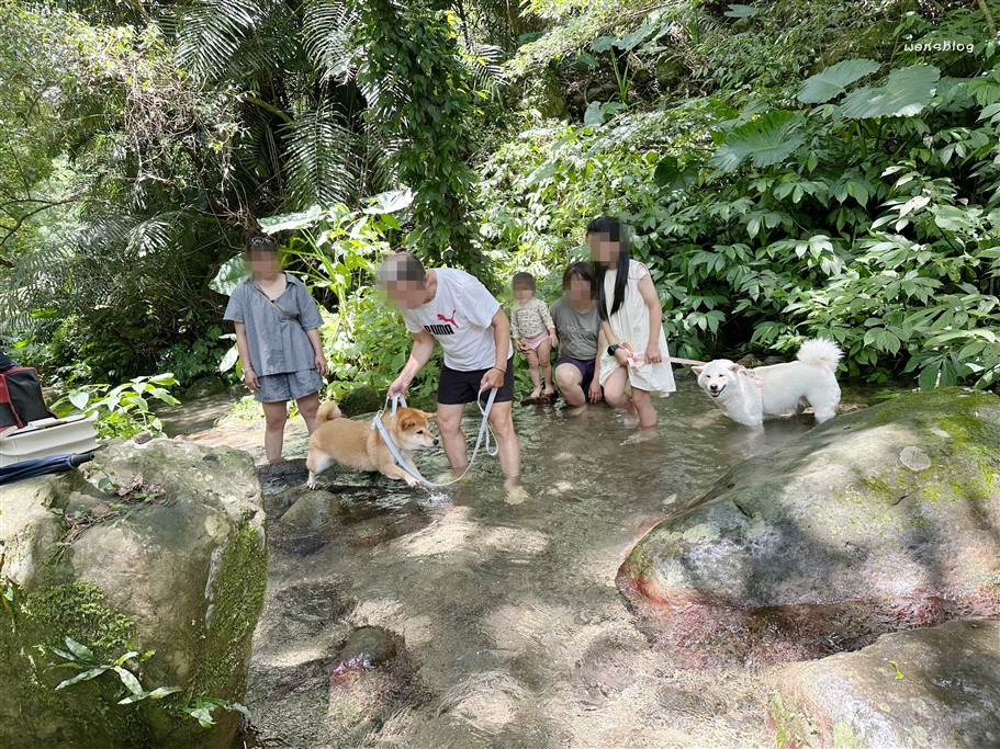 苗栗南庄。四十二份湧泉自然生態步道，有著南庄小秘境之稱，地點較為隱密、遊客數稀少 @雯雯的玩樂地圖