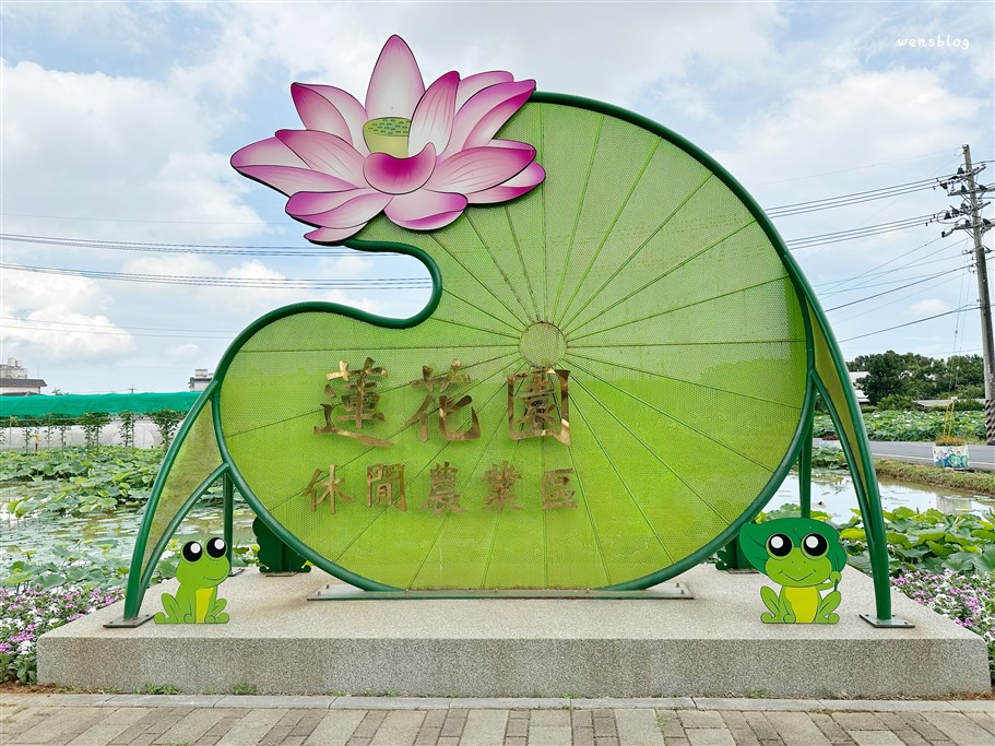 桃園觀音。2025桃園蓮花季，7/1~8/17開跑，賞花之餘還能體驗乘坐在大王蓮上輕功水上漂的感覺 @雯雯的玩樂地圖