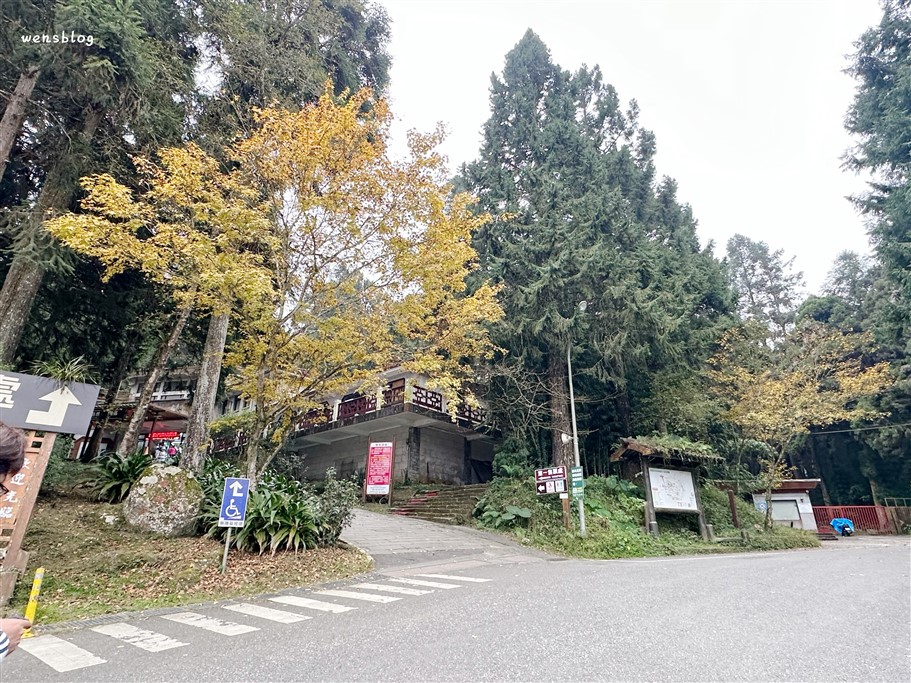 南投鹿谷。溪頭自然教育園區，深呼吸~奔向大自然，結合森林生態、教育與休閒的絕佳去處 @雯雯的玩樂地圖