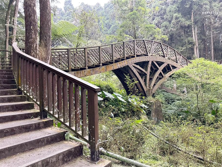 南投鹿谷。溪頭自然教育園區，深呼吸~奔向大自然，結合森林生態、教育與休閒的絕佳去處 @雯雯的玩樂地圖