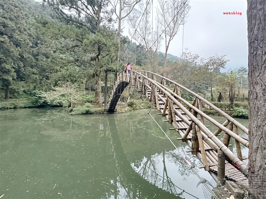 南投鹿谷。溪頭自然教育園區，深呼吸~奔向大自然，結合森林生態、教育與休閒的絕佳去處 @雯雯的玩樂地圖