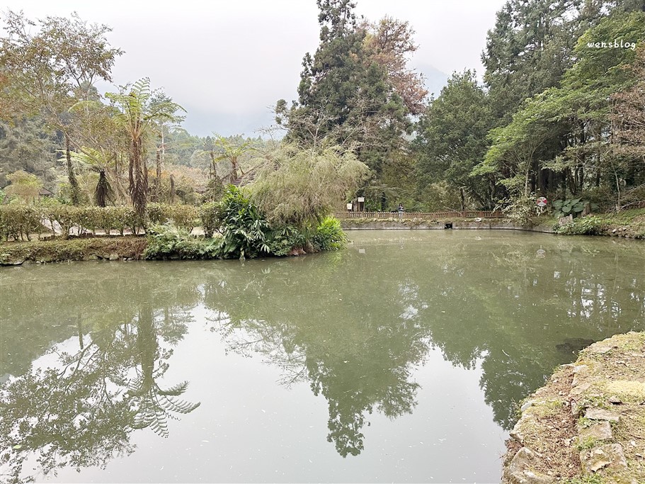南投鹿谷。溪頭自然教育園區，深呼吸~奔向大自然，結合森林生態、教育與休閒的絕佳去處 @雯雯的玩樂地圖