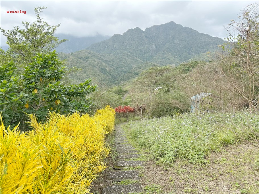 台東長濱。星龍花園咖啡，隱藏在山區裡的秘密花園，擁有180度絕佳看海視野 @雯雯的玩樂地圖