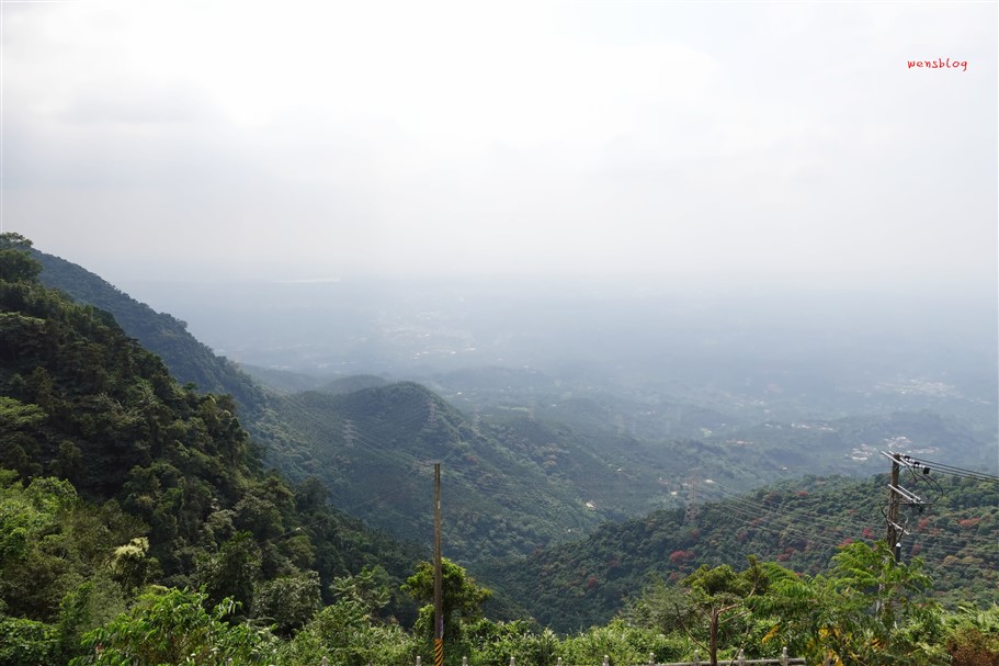 嘉義梅山。太平雲梯，全台最高海拔景觀吊橋，感受與天空最近的距離 @雯雯的玩樂地圖