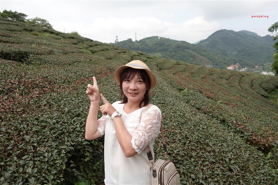 嘉義梅山。太平雲梯，全台最高海拔景觀吊橋，感受與天空最近的距離 @雯雯的玩樂地圖
