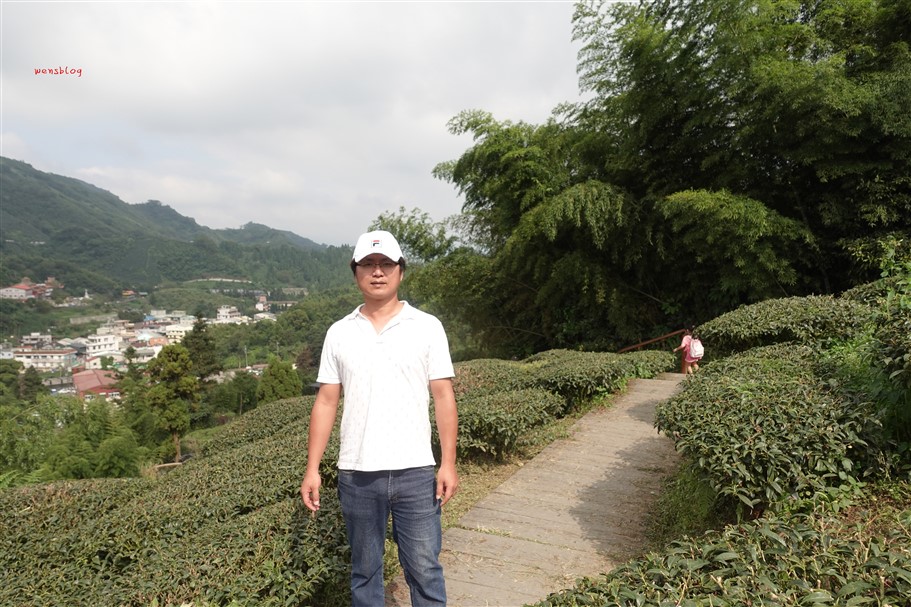 嘉義梅山。太平雲梯，全台最高海拔景觀吊橋，感受與天空最近的距離 @雯雯的玩樂地圖