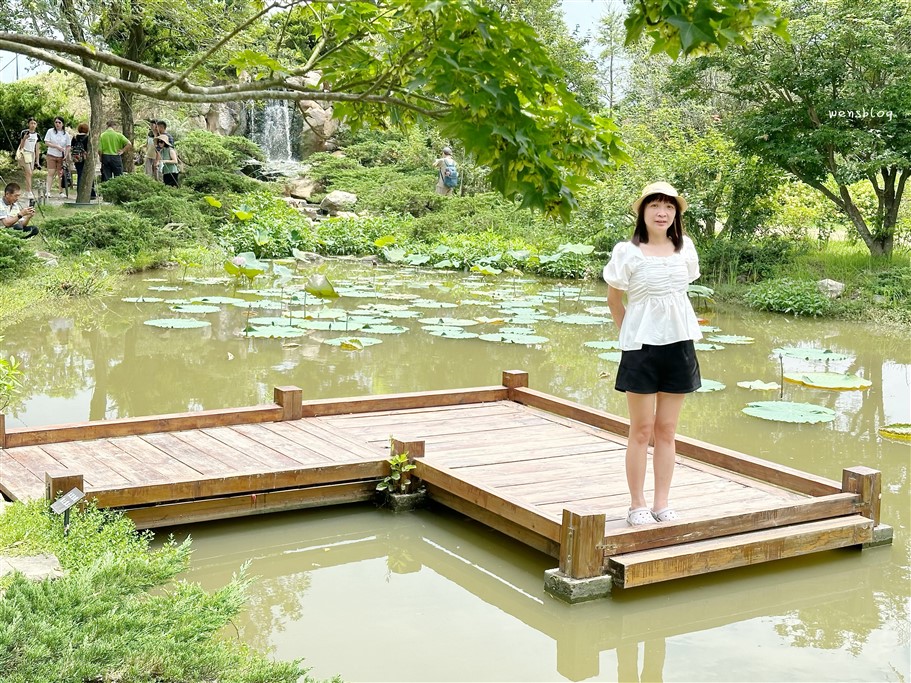 台南後壁。雅聞湖濱療癒森林，全台最大玫瑰森林主題園區，免門票不用錢，賞花、拍美照的好去處 @雯雯的玩樂地圖