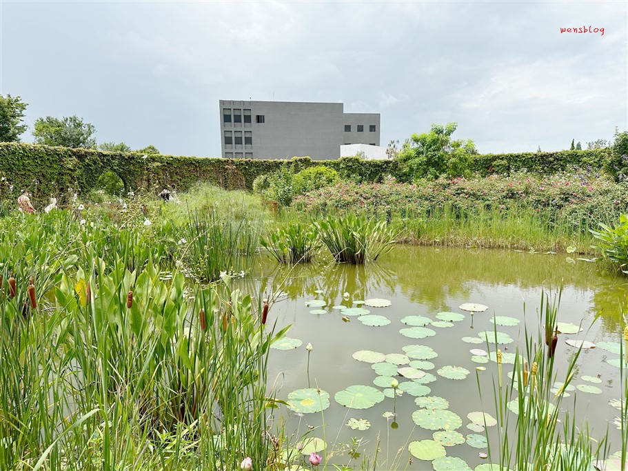 台南後壁。雅聞湖濱療癒森林，全台最大玫瑰森林主題園區，免門票不用錢，賞花、拍美照的好去處 @雯雯的玩樂地圖