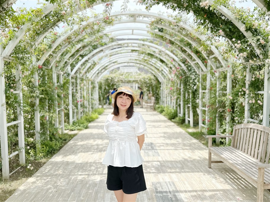 台南後壁。雅聞湖濱療癒森林，全台最大玫瑰森林主題園區，免門票不用錢，賞花、拍美照的好去處 @雯雯的玩樂地圖