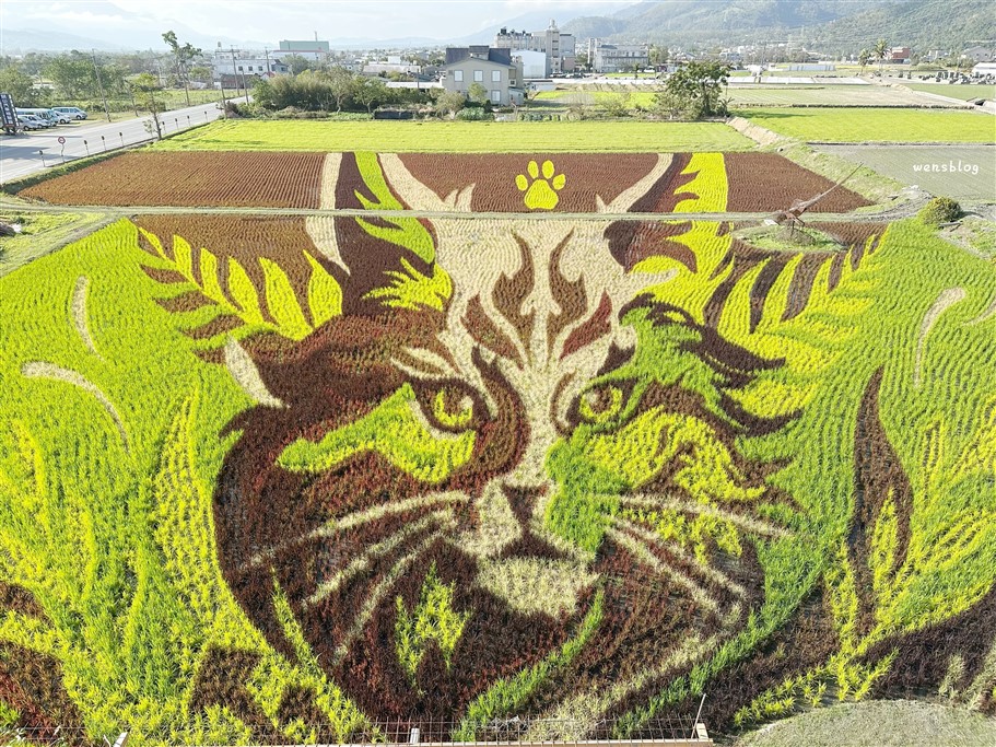 台東關山。關山鎮農會米國學校，由舊碾米廠改建，還能順道了解稻米文化知識 @雯雯的玩樂地圖